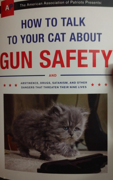 cat gun safety scaled.jpg